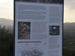 Yacimiento de la Almoloya 2023